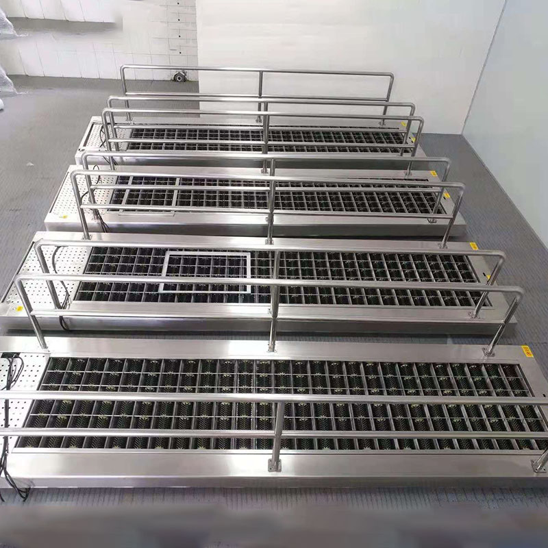 Roller sole cleaning machine